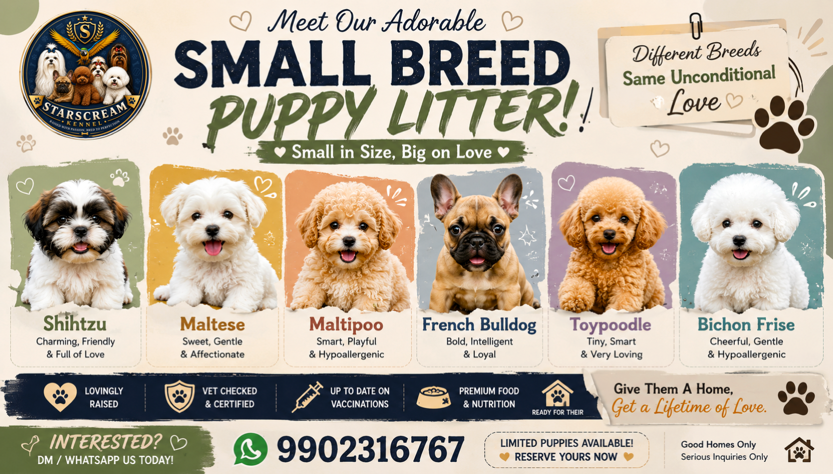 Starscream's Kennel Small Breed Puppy Litter
