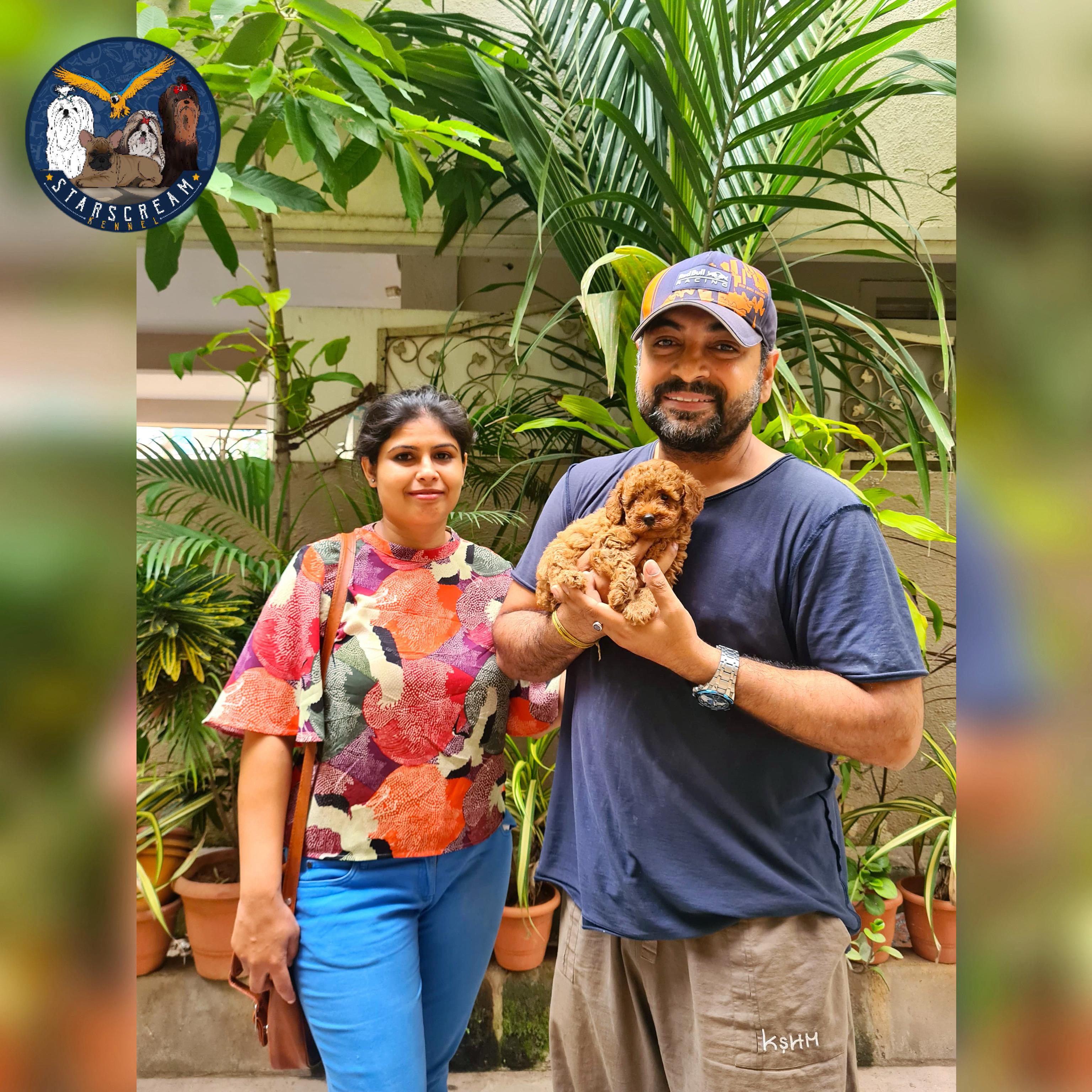 Happy Starscream's Kennel client from Bangalore