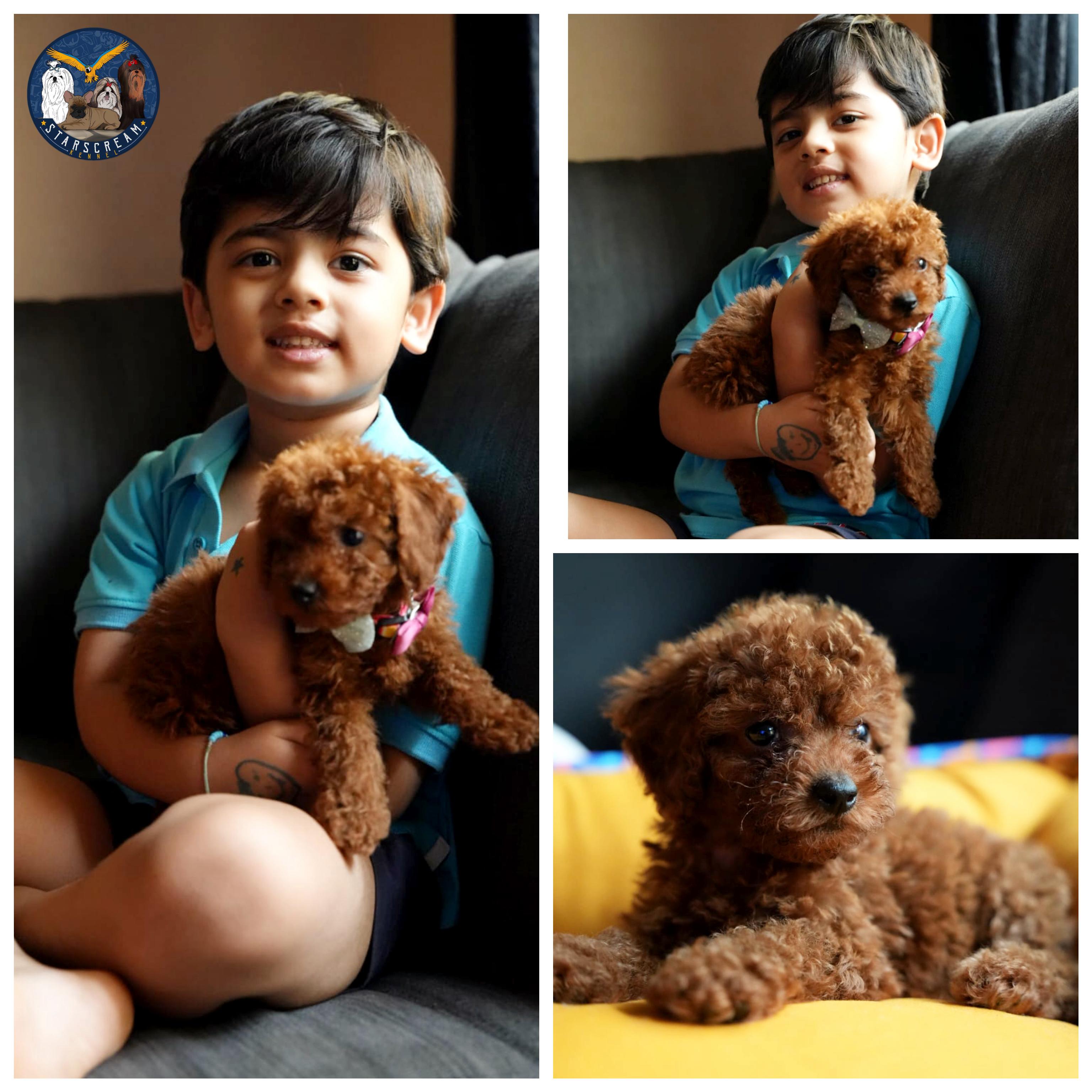 Happy Starscream's Kennel client from Bangalore